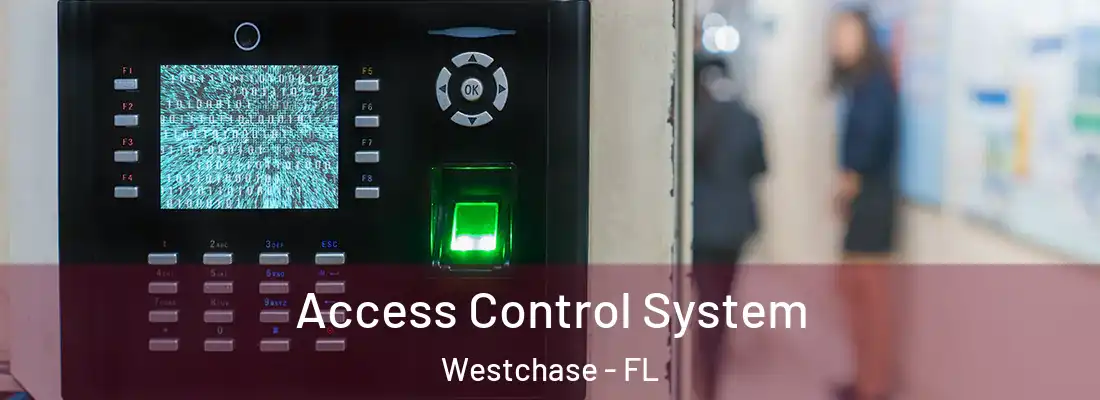  Access Control System Westchase - FL