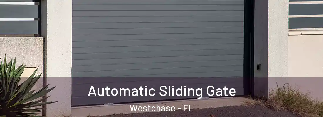  Automatic Sliding Gate Westchase - FL