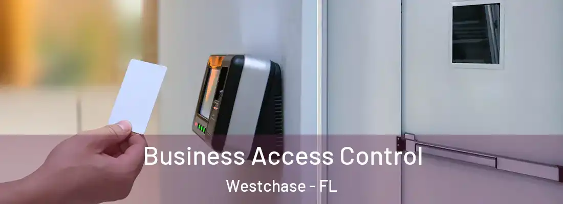  Business Access Control Westchase - FL