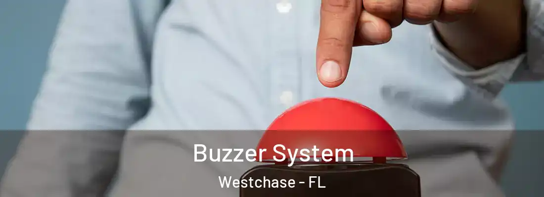  Buzzer System Westchase - FL