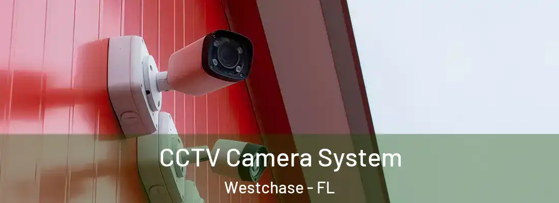  CCTV Camera System Westchase - FL