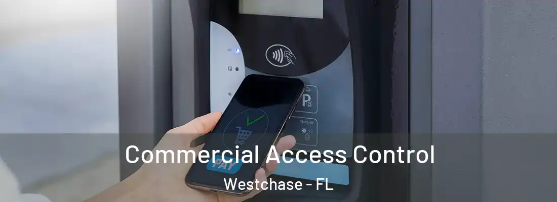  Commercial Access Control Westchase - FL