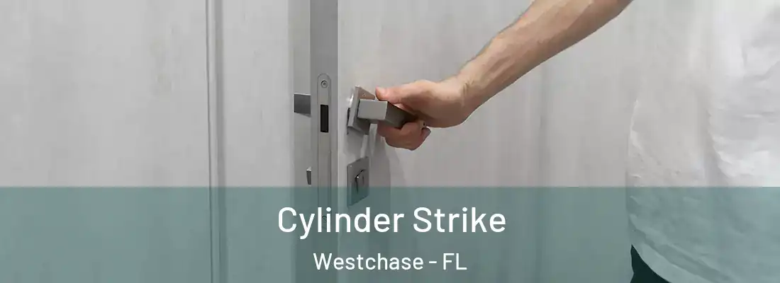  Cylinder Strike Westchase - FL