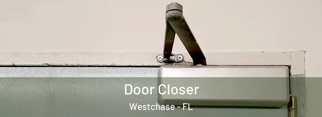  Door Closer Westchase - FL