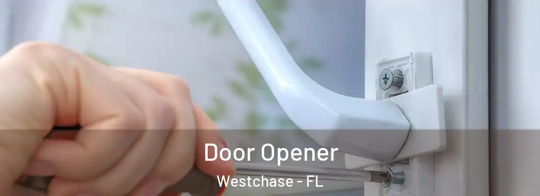  Door Opener Westchase - FL