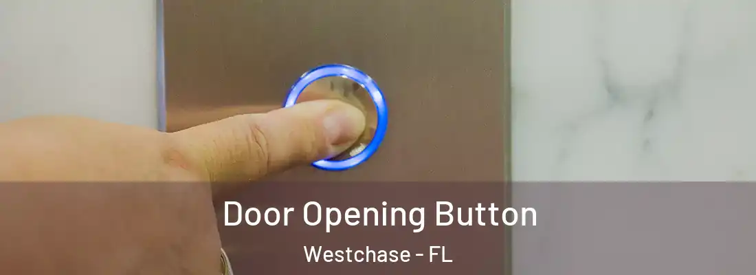  Door Opening Button Westchase - FL