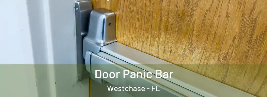  Door Panic Bar Westchase - FL