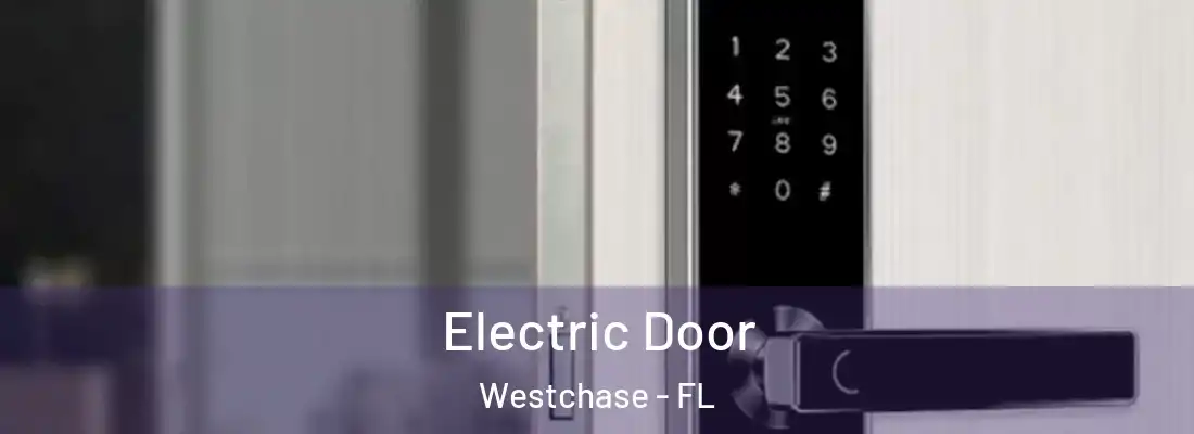  Electric Door Westchase - FL
