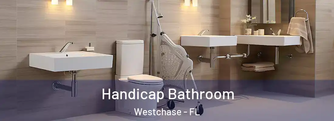  Handicap Bathroom Westchase - FL