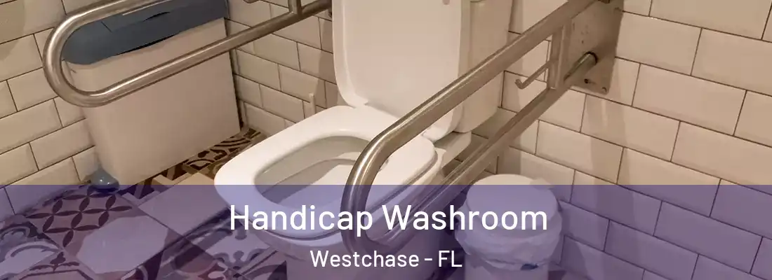  Handicap Washroom Westchase - FL