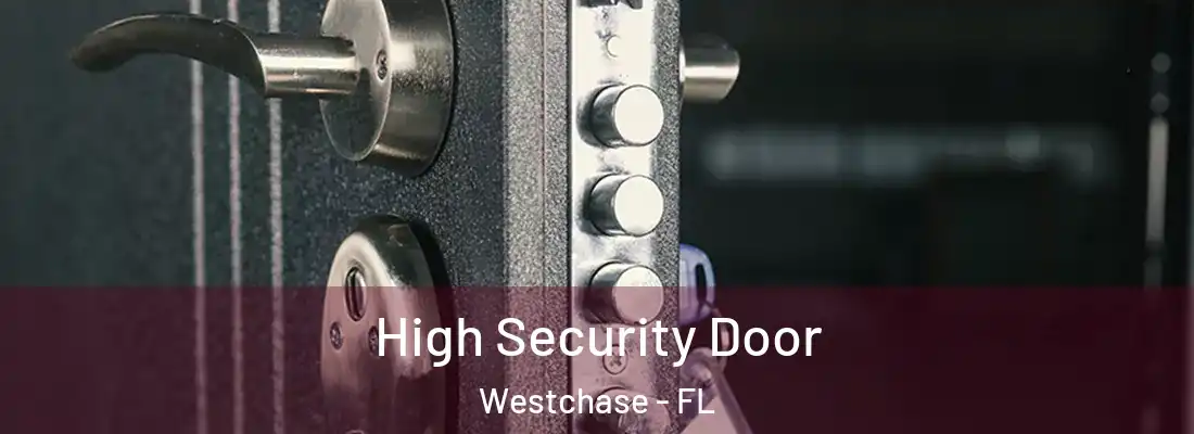 High Security Door Westchase - FL
