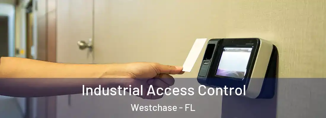  Industrial Access Control Westchase - FL
