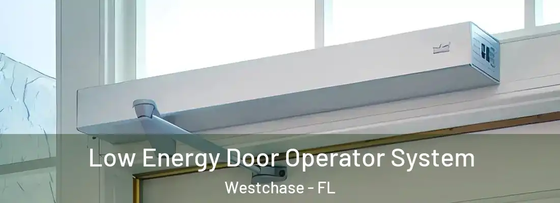  Low Energy Door Operator System Westchase - FL