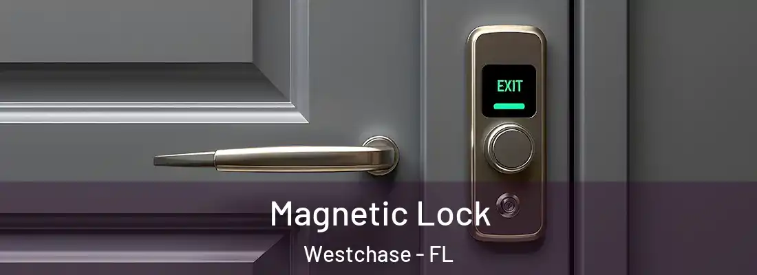  Magnetic Lock Westchase - FL