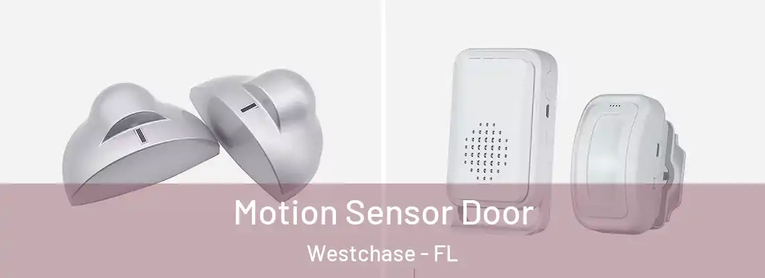  Motion Sensor Door Westchase - FL