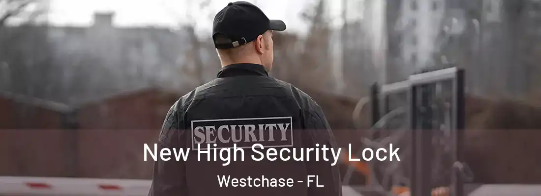  New High Security Lock Westchase - FL