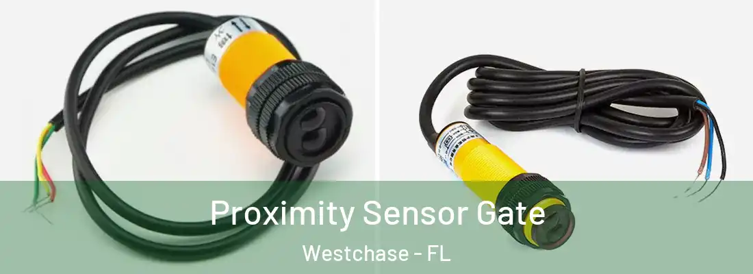  Proximity Sensor Gate Westchase - FL