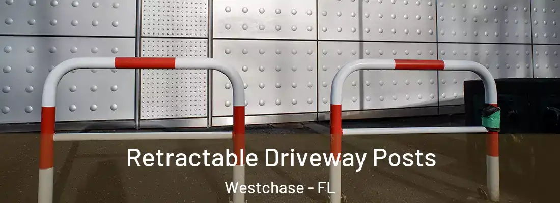  Retractable Driveway Posts Westchase - FL