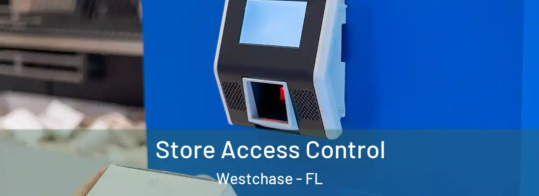  Store Access Control Westchase - FL