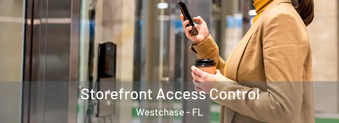  Storefront Access Control Westchase - FL